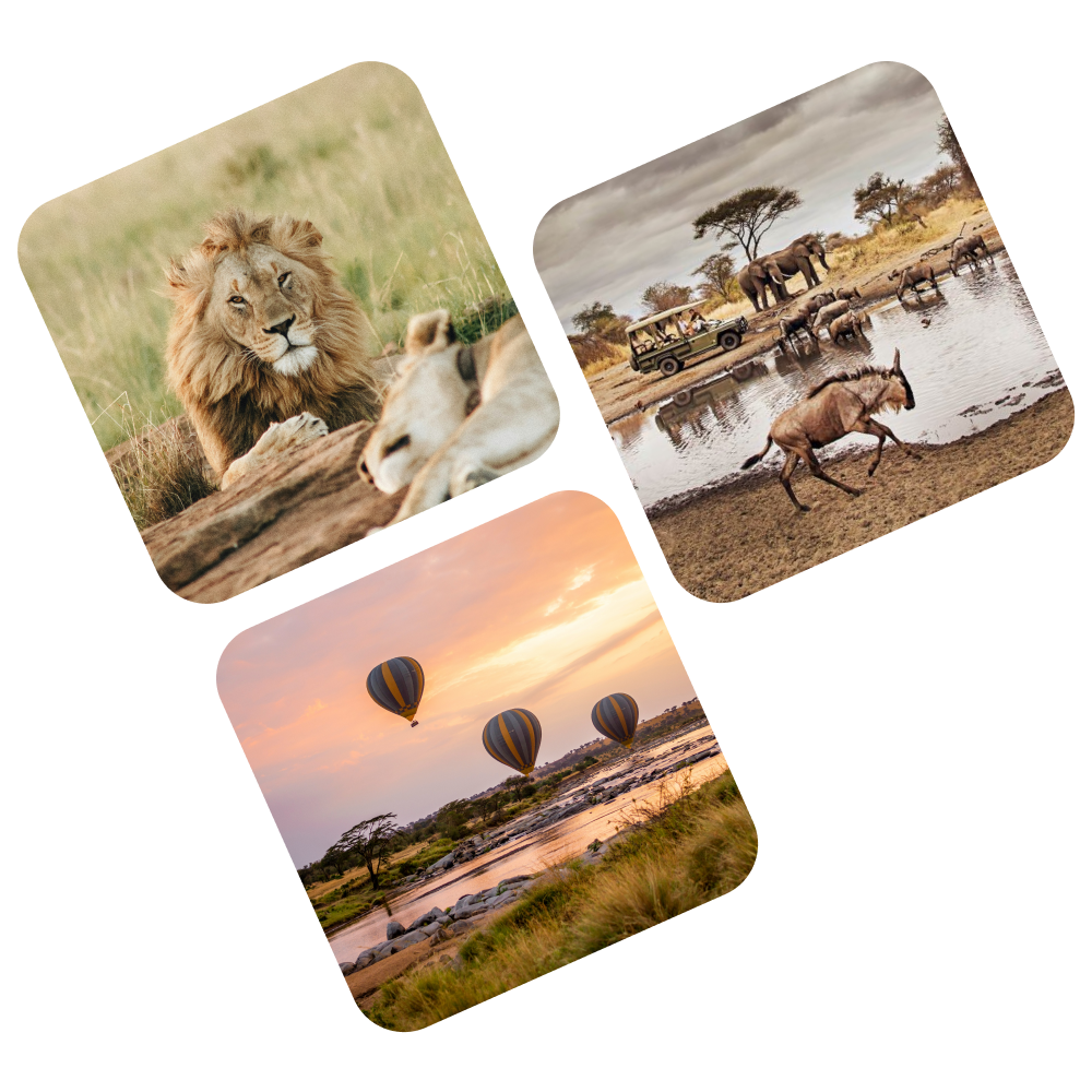 Arusha National Park